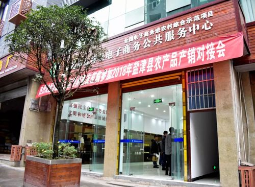2018年11月15日,云南省盐津县农产品展销对接会在黄葛槽新区二街电子